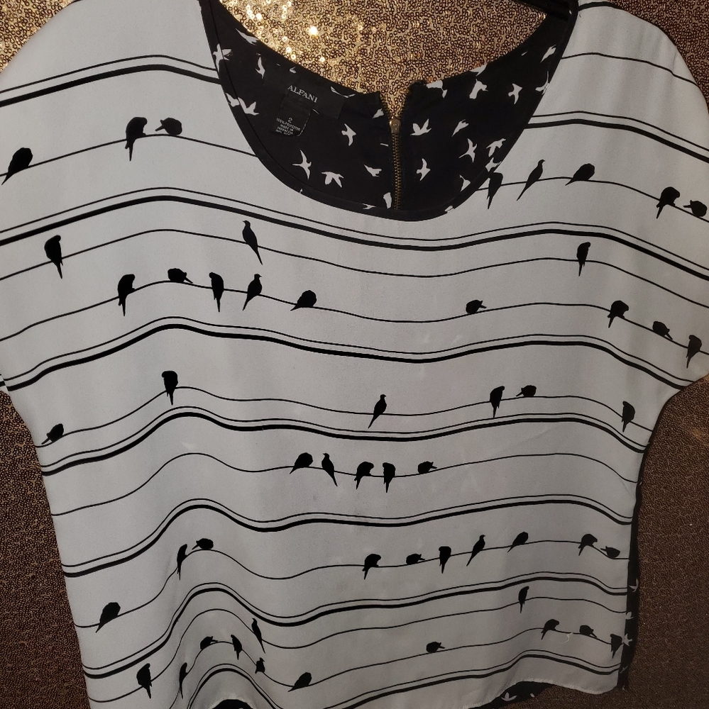 Alfani blouse